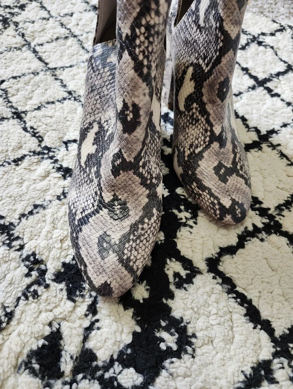 Steve Madden Snake-Print Block Heel Ankle Boots - Black, Cream, Tan 8 - Picture 7 of 9